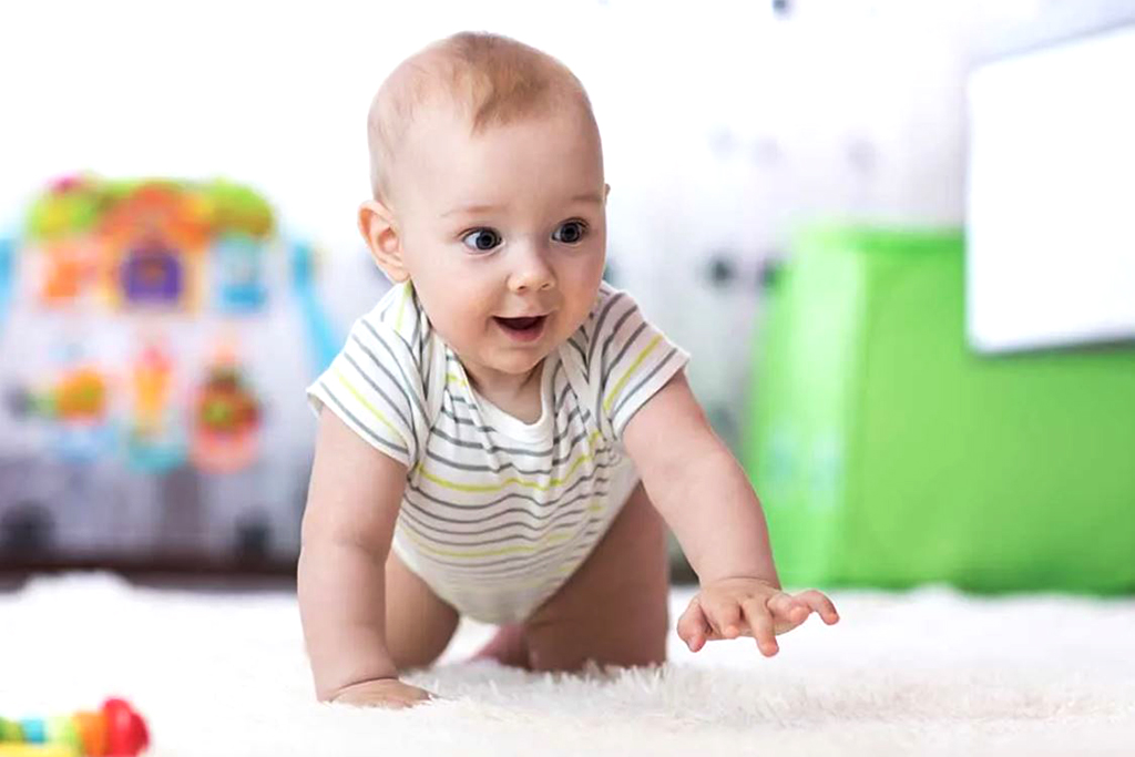 Our fidelity to Safety