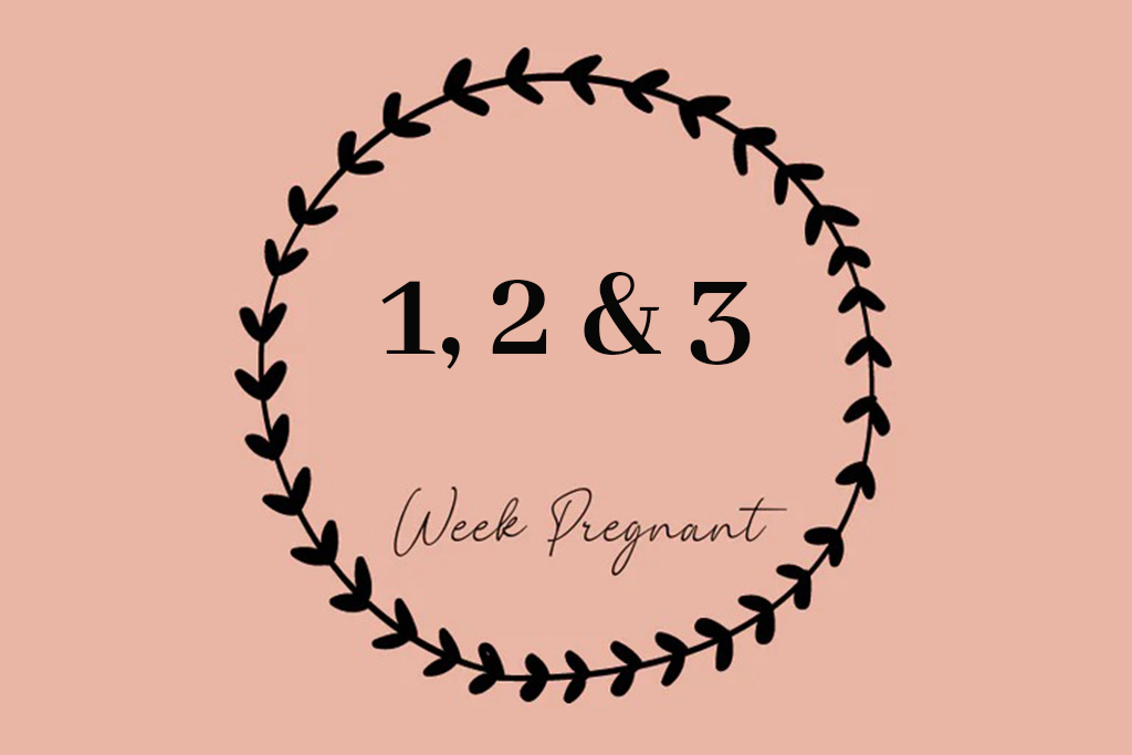 1 2 or 3 Weeks Pregnant